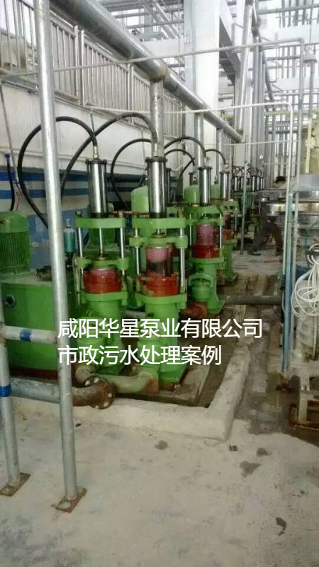 污水處理廠使用YBH200節(jié)能柱塞泵現(xiàn)場